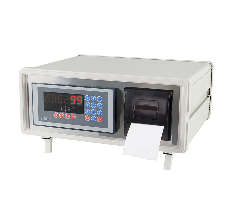 TY6D+P型 六位显示仪表